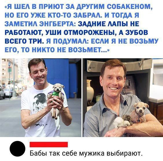 Я шел в приют за другим собаченком, но его уже кто-то забрал. И тогда я заметил Энгберта: задние лапы не работают, уши отморожены, а зубов всего три. Я подумал: если я не возьму его, то никто не возьмет... Бабы так себе мужика выбирают.