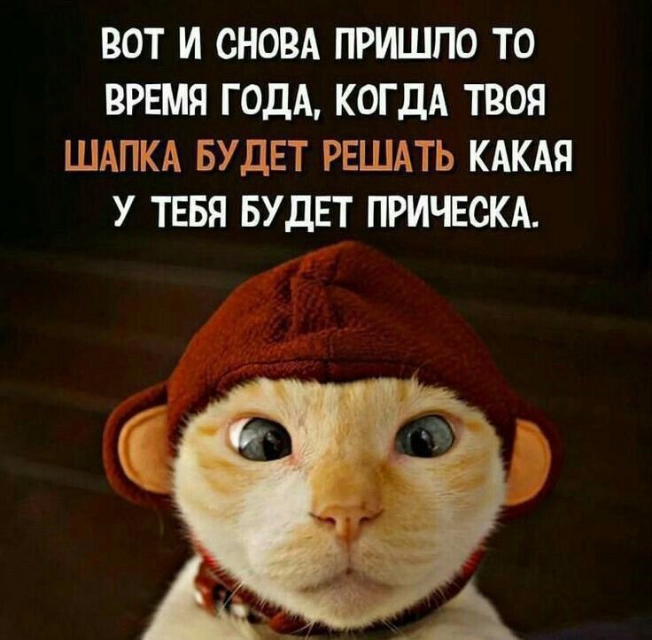 Вот и снова пришло то время года, когда твоя шапка будет решать какая у тебя будет прическа.