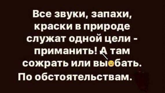 Все звуки, запахи, краски в природе служат одной цели - приманить! А там съесть или выебать. По обстоятельствам.