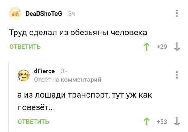 Труд сделал из обезьяны человека
а из лошади транспорт, тут уж как повезёт...