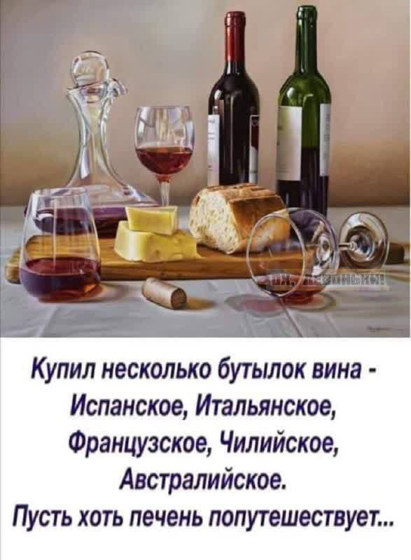 Купил несколько бутылок вина - Испанское, Итальянское, Французское, Чилийское, Австралийское. Пусть хоть печень попутешествует...