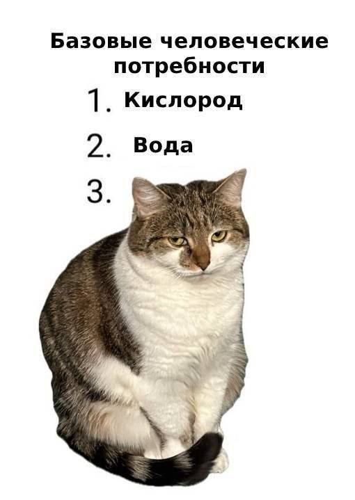 Базовые человеческие потребности 1. Кислород 2. Вода 3.