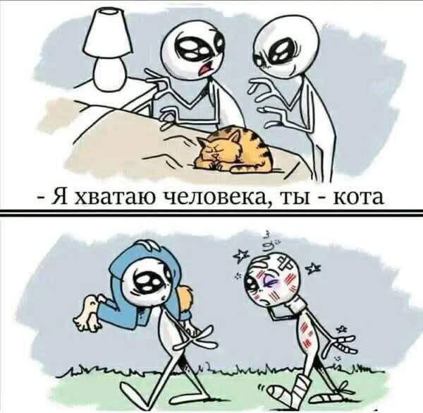 - Я хватаю человека, ты - кота