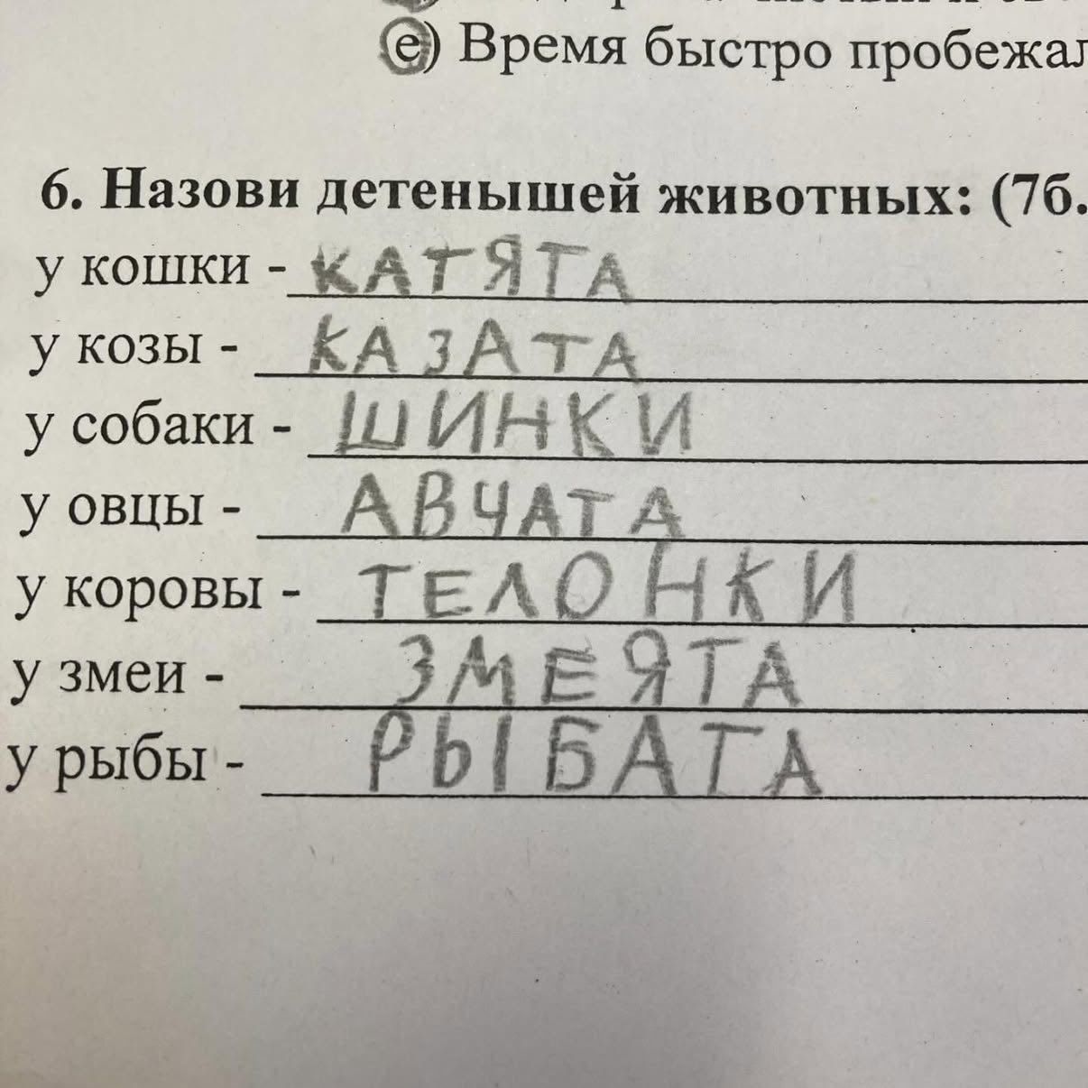 6. Назови детенышей животных: (7б...) у кошки - КАТЯТА у козы - КАЗАТА у собаки - ШИНКИ у овцы - АВЧАТА у коровы - ТЕЛОНКИ у змеи - ЗМЕЯТА у рыбы - РЫБАТА