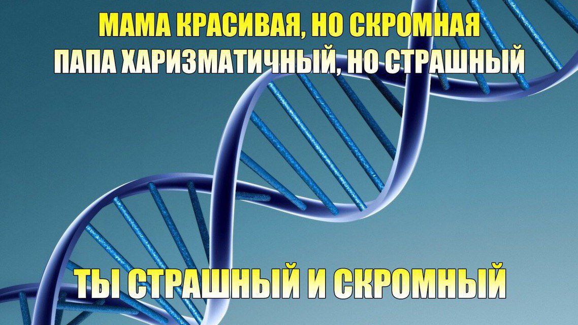 МАМА КРАСИВАЯ, НО СКРОМНАЯ ПАПА ХАРИЗМАТИЧНЫЙ, НО СТРАШНЫЙ\nТЫ СТРАШНЫЙ И СКРОМНЫЙ