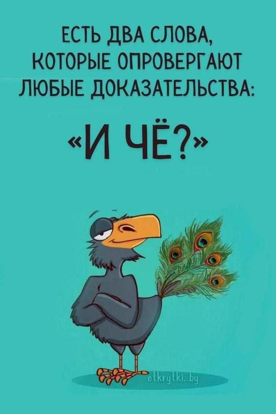 ЕСТЬ ДВА СЛОВА, КОТОРЫЕ ОПРОВЕРГАЮТ ЛЮБЫЕ ДОКАЗАТЕЛЬСТВА: «И ЧЁ?»