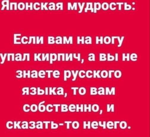 Японская мудрость: Если вам на ногу упал кирпич, а вы не знаете русского языка, то вам собственно, и сказать-то нечего.