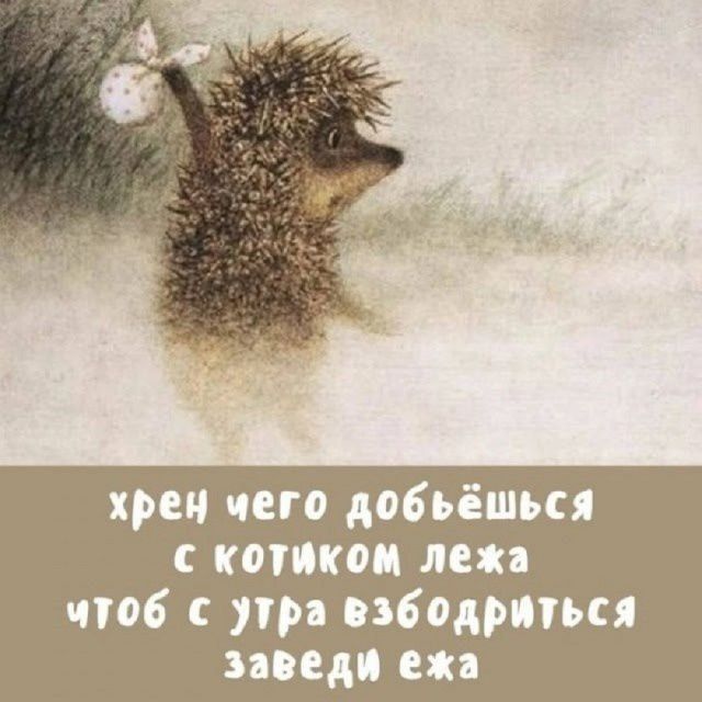 хрен чего добьёшься с котиком лежа чтоб с утра взбодриться заведи ежа