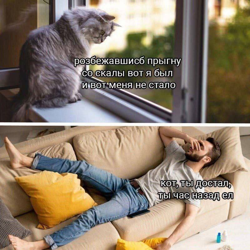 разбежавшись прыгну со скалы вот я был и вот меня не стало
кот, ты достал, ты час назад ел