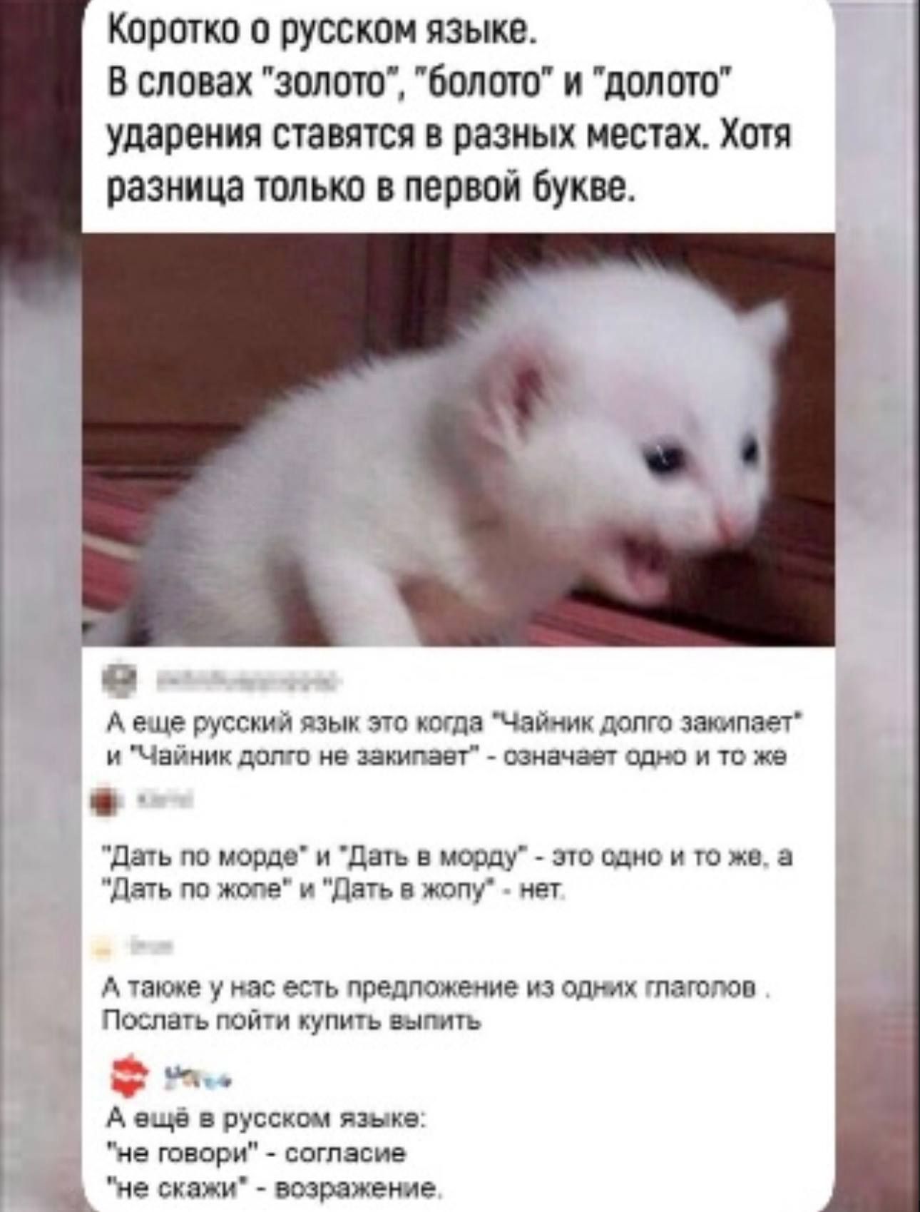 Коротко о русском языке. В словах 'золото', 'болото' и 'долото' ударения ставятся в разных местах. Хотя разница только в первой букве. А ещё в нашем языке есть предложения из одних тегов. Дать по морде и дать в морду — это одно и то же, а 'дать по жене' и 'дать в жопу' — нет. А ещё у нас есть предложение из одних тегов. А еще в русском языке: 'не говори' — согласие, 'не скажи' — возражение.