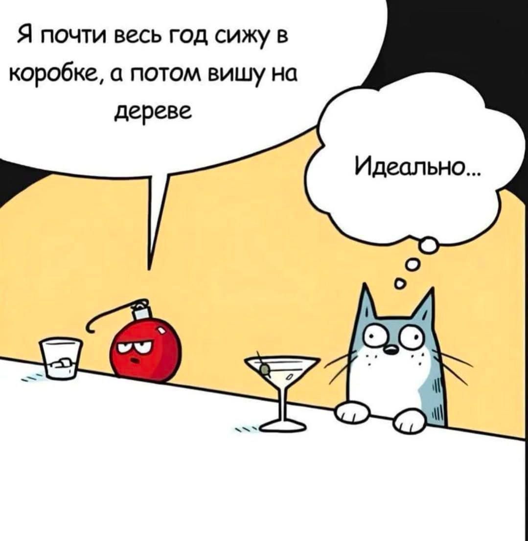 Я почти весь год сижу в коробке, а потом вешу на дереве
Идеально...