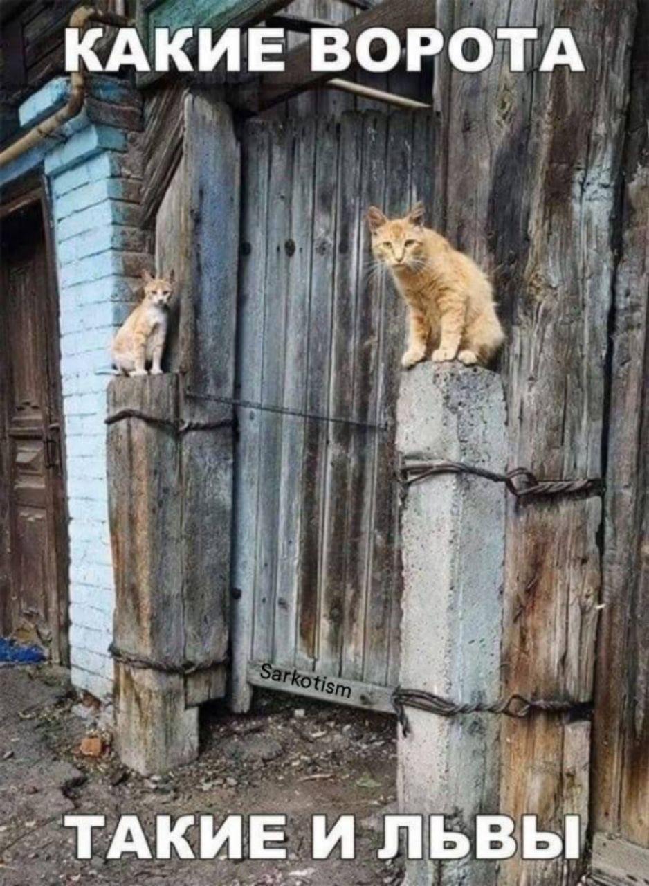 КАКИЕ ВОРОТА ТАКИЕ И ЛЬВЫ Sarkotism