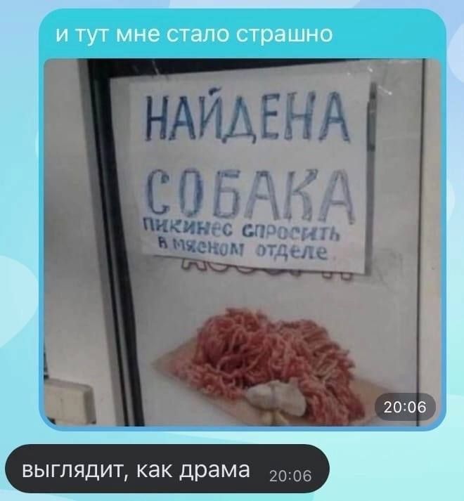НАЙДЕНА СОБАКА