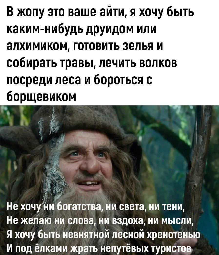 В жопу это ваше айти, я хочу быть каким-нибудь друдом или алхимиком, готовить зелья и собирать травы, лечить волков посреди леса и бороться с борщевиком. Не хочу ни богатства, ни света, ни тени, Не желаю ни слова, ни вздоха, ни мысли, Я хочу быть неясной лесной хренетенью И под ёлками жарть непутёвых туристов.