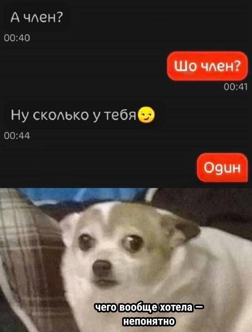 А член? Шо член? Ну сколько у тебя😉 Один