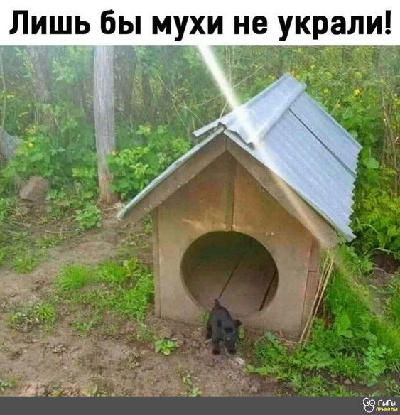 Лишь бы мухи не украли!