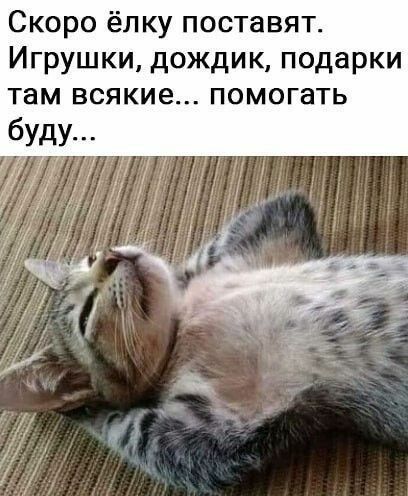 Скоро ёлку поставят. Игрушки, дождик, подарки там всякие... помогать буду...