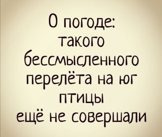 О погоде: такого бессмысленного перелёта на юг птицы ещё не совершали