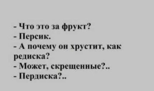 - Что это за фрукт?
- Персик.
- А почему он хрустит, как редиска?
- Может, скрещенные?..
- Пердиска?..