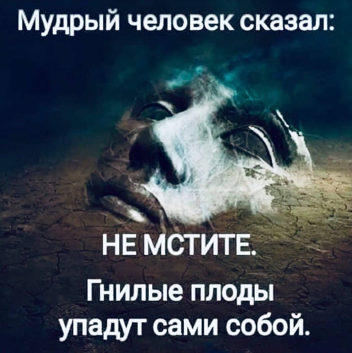 Мудрый человек сказал: НЕ МСТИТЕ. Гнилые плоды упадут сами собой.