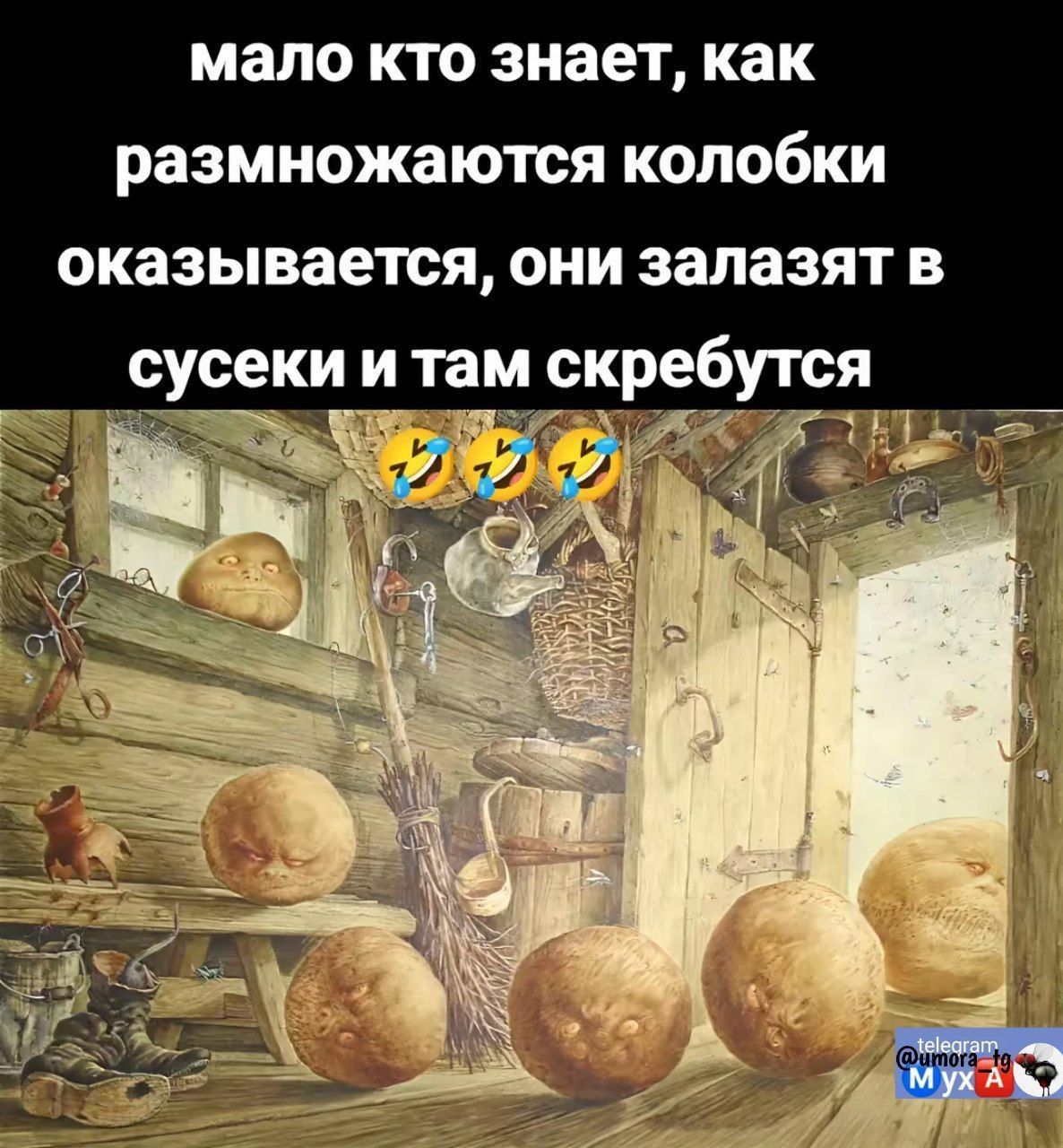 мало кто знает, как размножаются колобки оказывается, они залазят в сусек и там скребутся