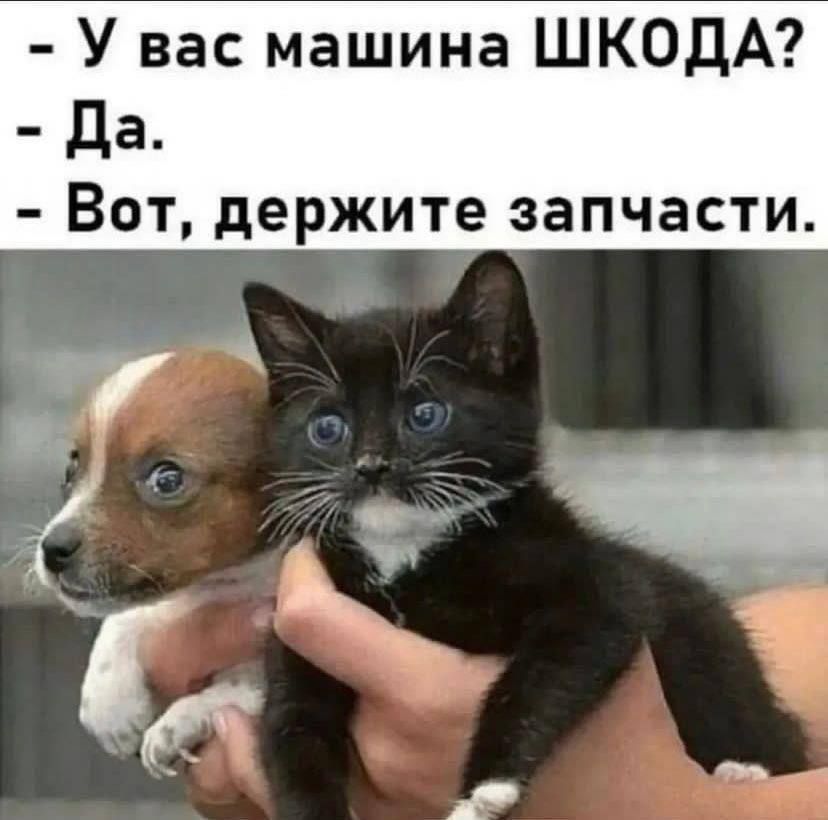 - У вас машина ШКОДА? - Да. - Вот, держите запчасти.