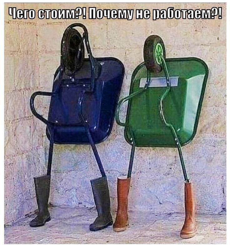 Чего стоим?! Почему не работаем?!