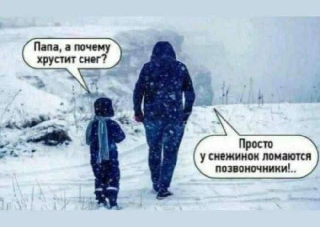 Папа, а почему хрустит снег?\nПросто у снежинок ломаются позвоночники!