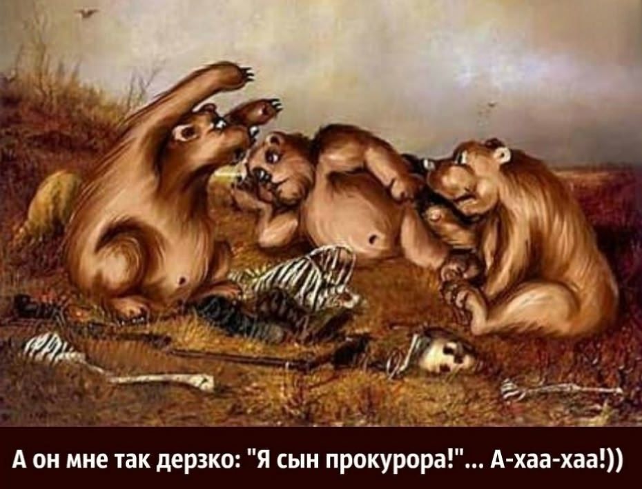 А он мне так дерзко: 