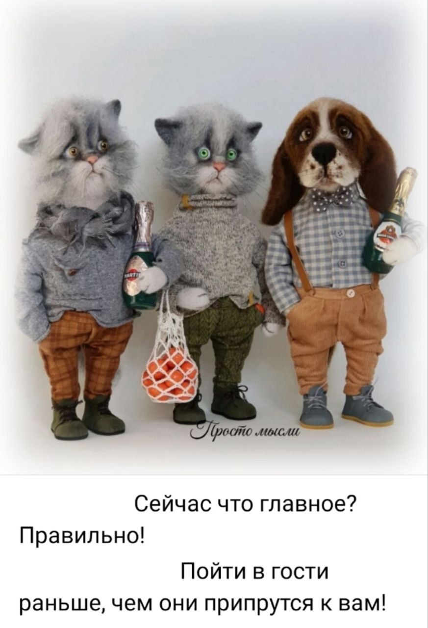 Сейчас что главное? Правильно! Пойти в гости раньше, чем они придут к вам!