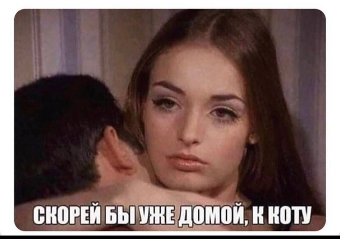 СКОРЕЙ БЫ УЖЕ ДОМОЙ, К КОТУ