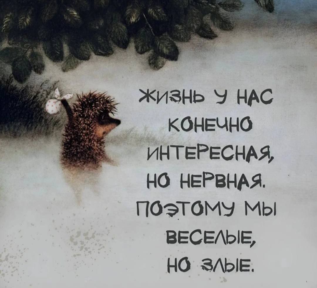 Жизнь у нас конечно интересная, но нервная. Поэтому мы веселые, но злые.