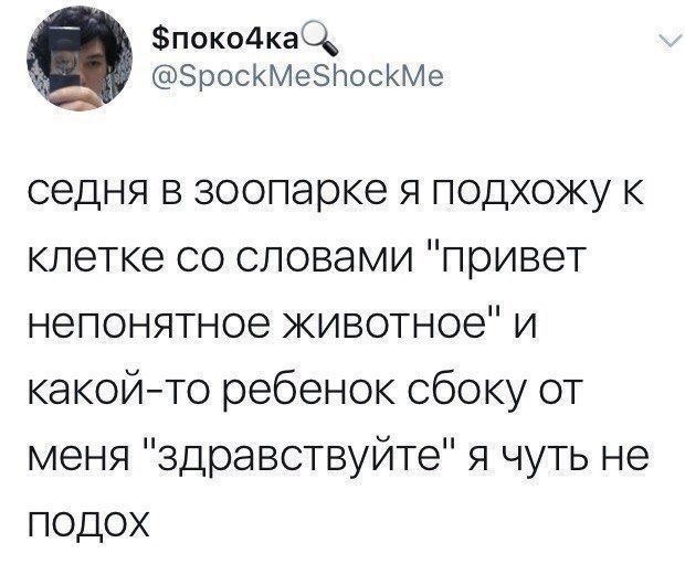 сегодня в зоопарке я подхожу к клетке со словами «привет непонятное животное» и какой-то ребёнок сбоку от меня «здравствуйте» я чуть не подошёл
