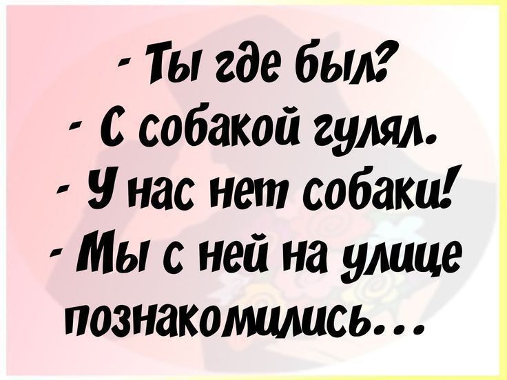 - Ты где был?
- С собакой гулял.
- У нас нет собаки!
- Мы с ней на улице познакомились...