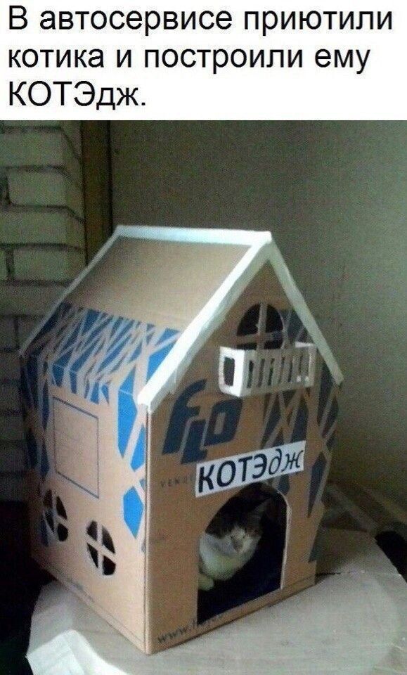 В автосервисе приютили котика и построили ему КОТЭДж.