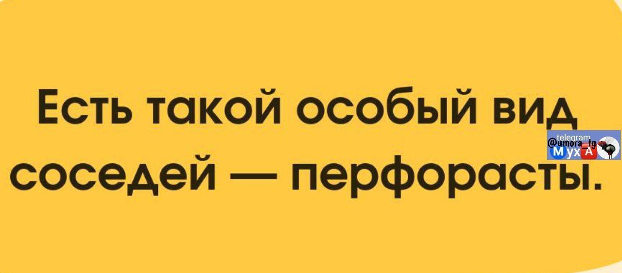 Есть такой особый вид соседей — перфорасты.