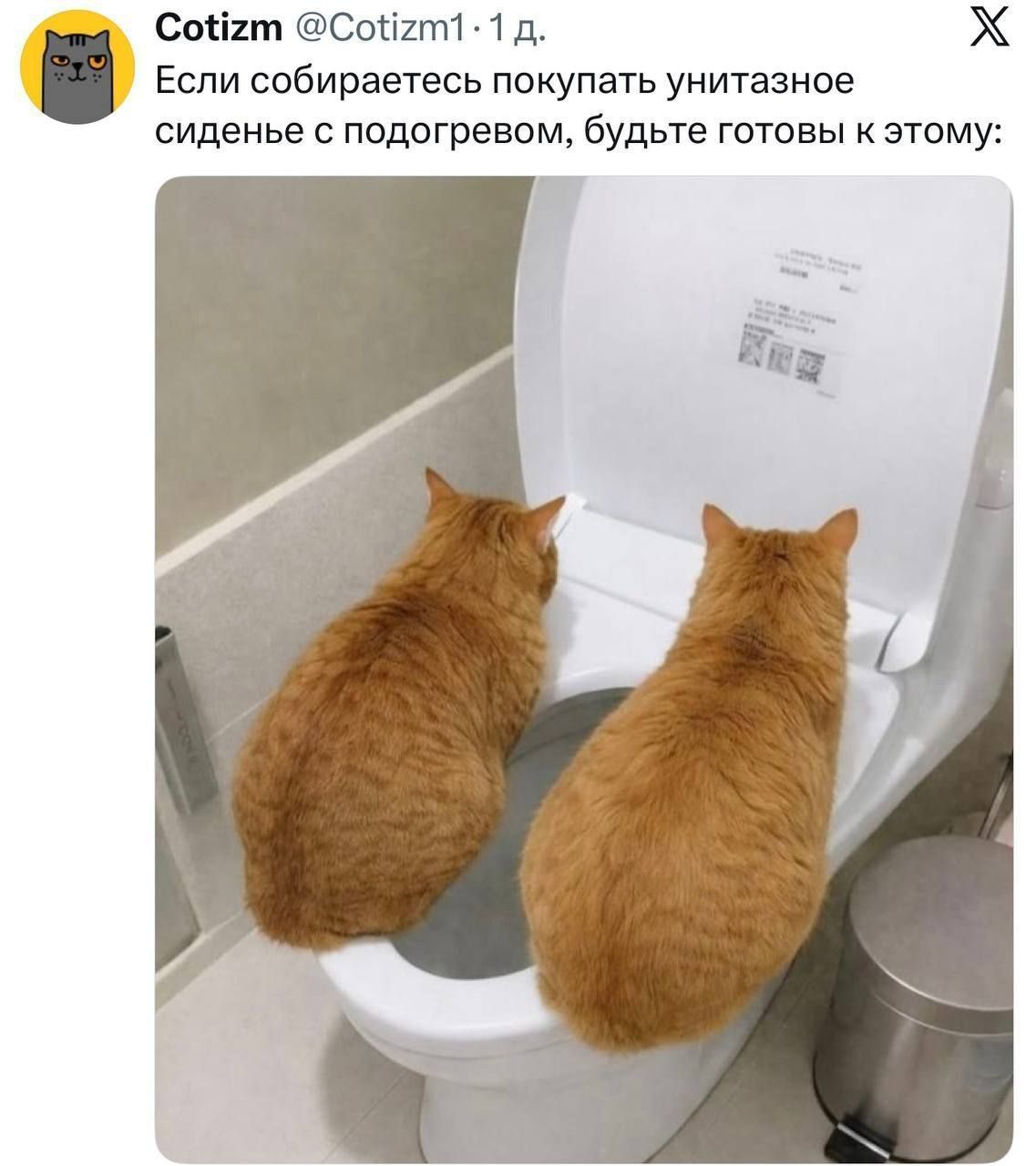 Если собираетесь покупать унитазное сиденье с подогревом, будьте готовы к этому: