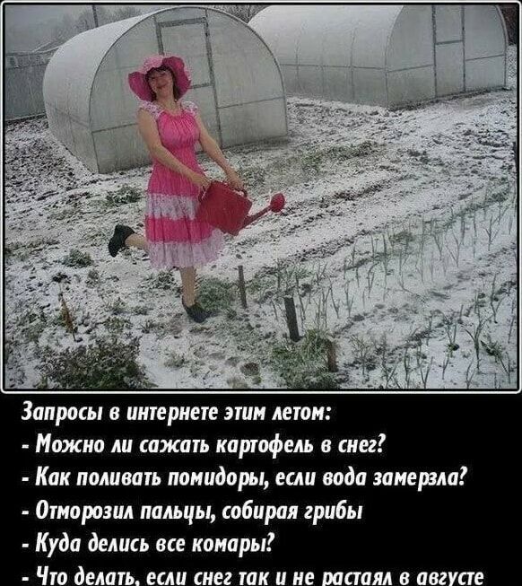 Запросы в интернете эти летом:
- Можно ли сажать картофель в снег?
- Как поливать помидоры, если вода задержалась?
- Отморозил пальцы, собирая грибы
- Куда делись все комары?
- Что делать, если снег так и не растаял в августе