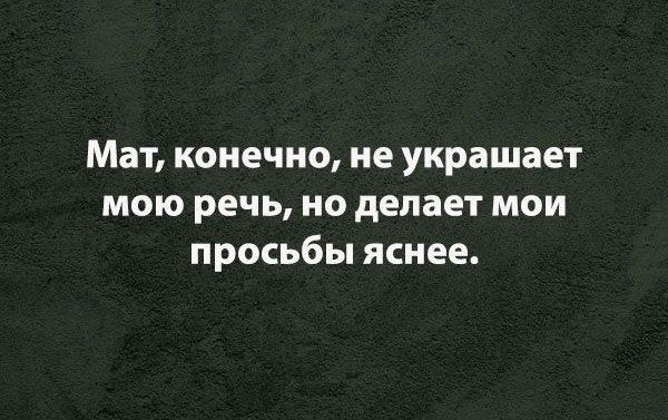 Мат, конечно, не украшает мою речь, но делает мои просьбы яснее.