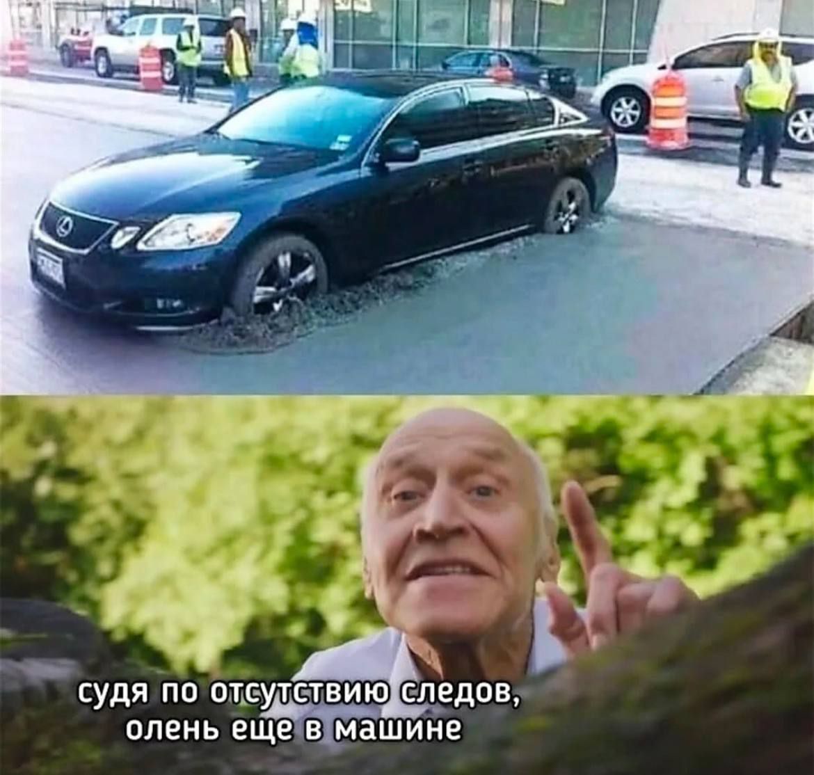 судя по отсутствию следов, олень еще в машине