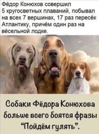 Фёдор Конюхов совершил 5 кругосветных плаваний, побывал на всех 7 вершинах, 17 раз пересёк Атлантику, причём один раз на весёлой лодке.\nСобаки Фёдора Конюхова больше всего боятся фразы 