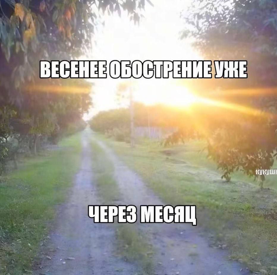 ВЕСЕННЕЕ ОБОСТРЕНИЕ УЖЕ ЧЕРЕЗ МЕСЯЦ