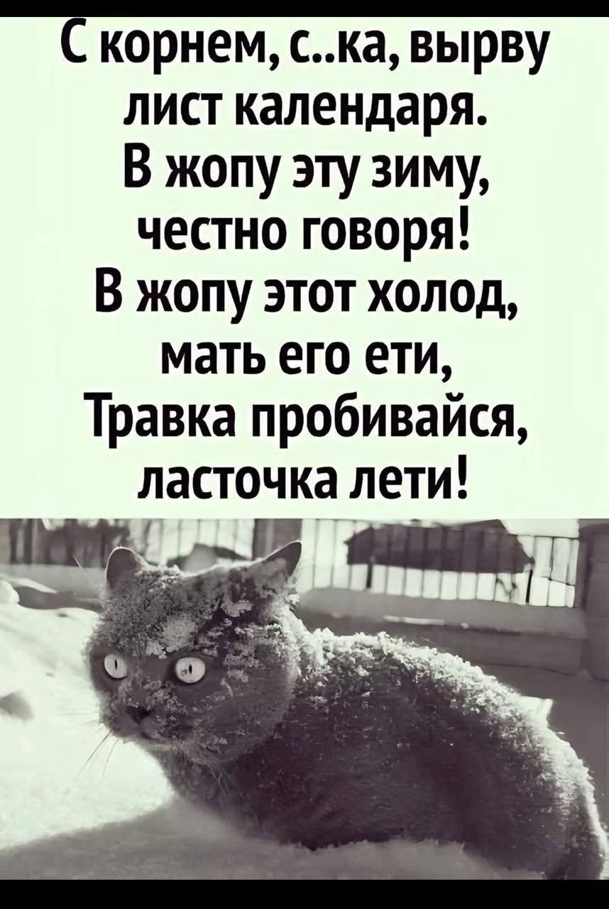 С корнем, с..ка, вырву лист календаря. В жопу эту зиму, честно говоря! В жопу этот холод, мать его ети, Травка пробивайся, ласточка лети!