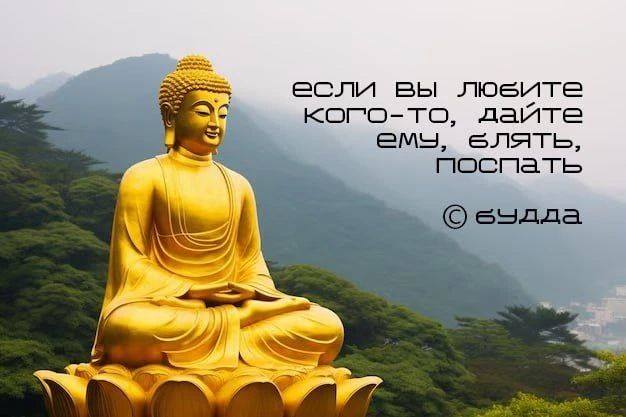 Если вы любите кого-то, дайте ему... послать свет и мир в путь. 