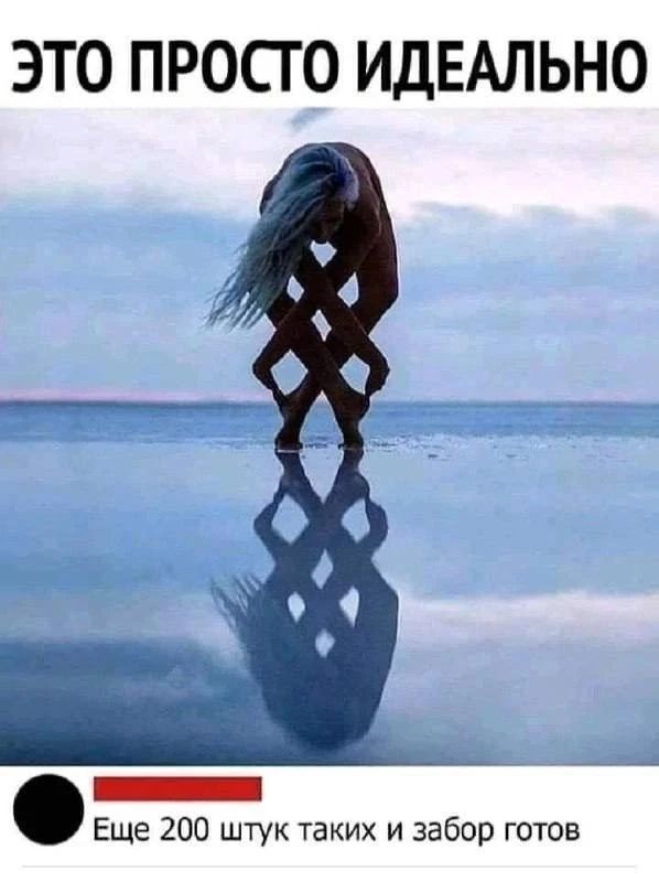 ЭТО ПРОСТО ИДЕАЛЬНО
Еще 200 штук таких и забор готов