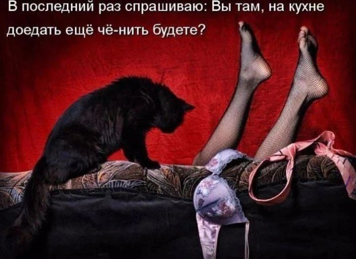В последний раз спрашиваю: Вы там, на кухне доедать ещё чё-нибудь будете?