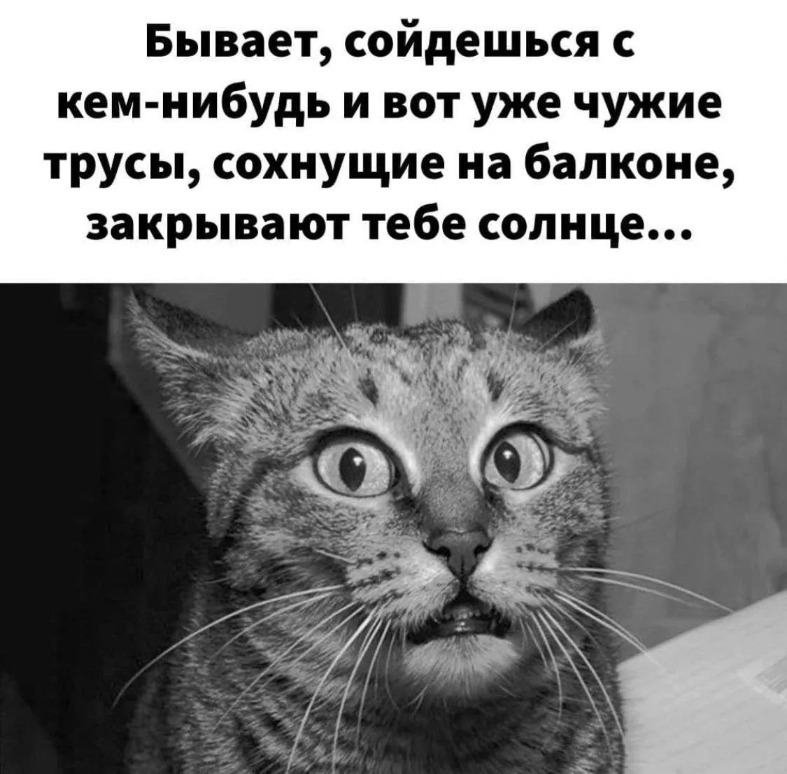 Бывает, соидешься с кем-нибудь и вот уже чужие трусы, снятые на балконе, закрывают тебе солнце...