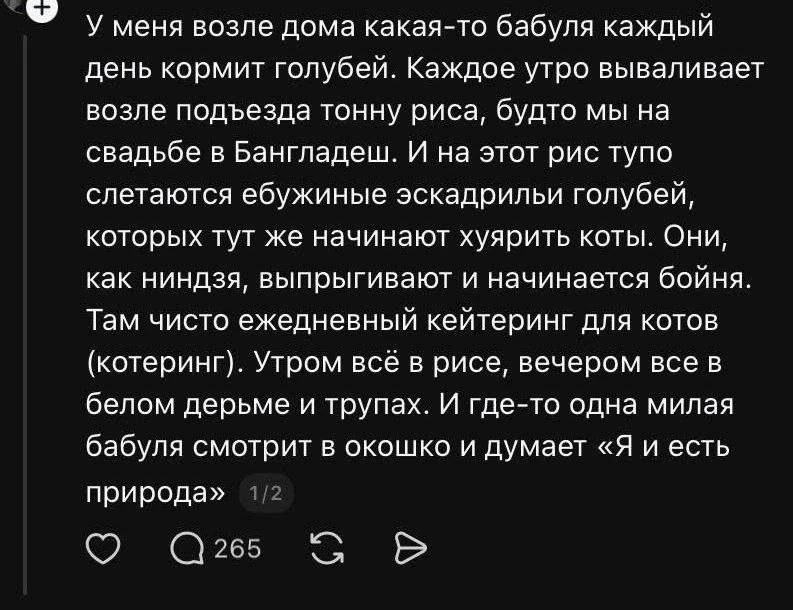 У меня возле дома какая-то бабулья каждый день кормит голубей. Каждое утро вываливает возле подъезда тонну риса, будто мы на свадьбе в Бангладеш. И на этот рис тусят эскадрильи голубей, которых тут же начинают хуярить коты. Утром всё в рисе, вечером все в белом дерме и трупах. И где-то одна милая бабуля смотрит в окошко и думает «Я и есть природа»