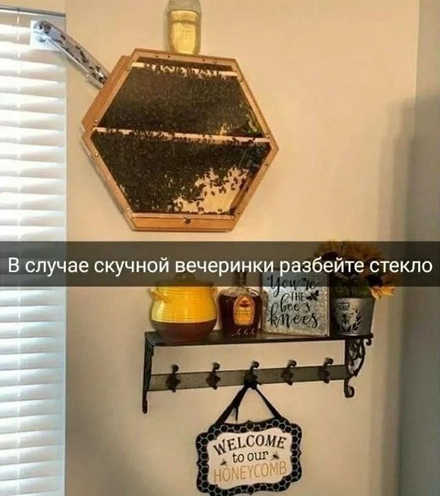 В случае скучной вечеринки разбейте стекло