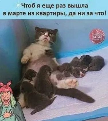 Чтобы я еще раз вышла в марте из квартиры, да ни за что!